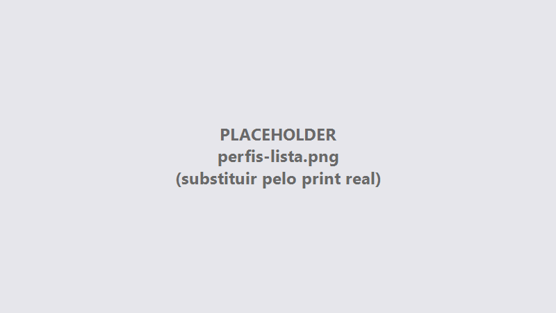 Listagem de perfis com o botão Novo